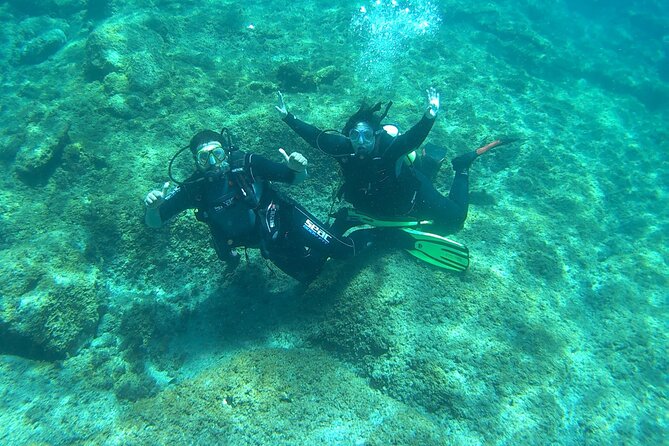 Discover Scuba Diving in Tenerife - In the water at La Caleta: what you’ll actually do and see