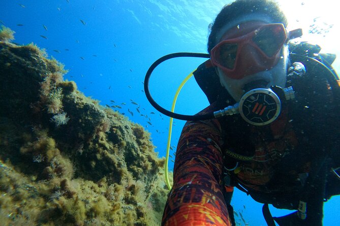 Discover Scuba Diving in Tenerife - Photos and videos: the value of someone else managing the camera