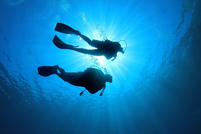 Discover Scuba Diving in Tenerife - Price and value: what $78.64 includes (and what it does not)