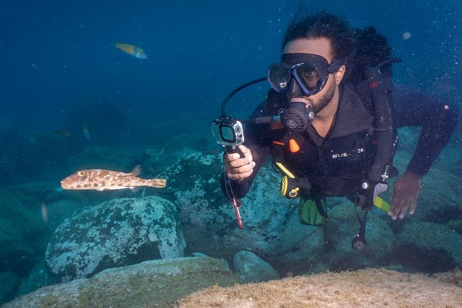 Discover Scuba Diving, Playa de las Americas - The 40 to 45 minute beginner underwater session near the breakwater