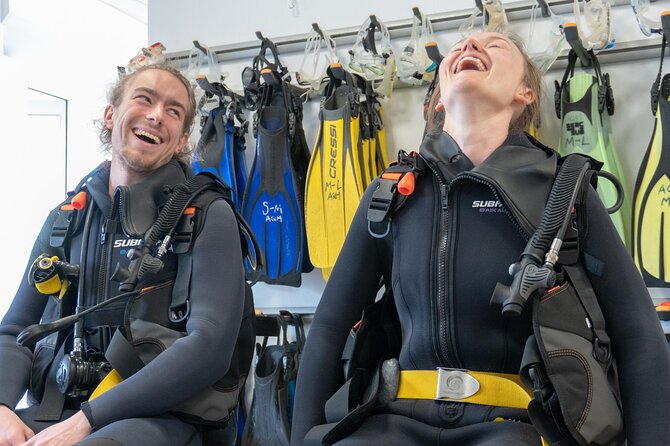 Discover Scuba Diving, Playa de las Americas - What you might see underwater: sea life and volcanic rock formations