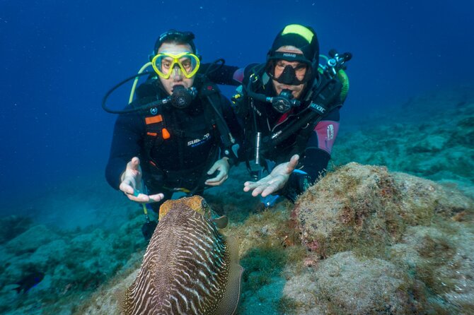 Discover Scuba Diving, Playa de las Americas - Aqua-Marina check-in, equipment, and the briefing that saves you
