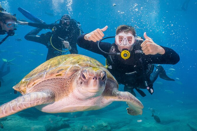 Discover Scuba Diving program: shore + boat dives - Key moments that make this Tenerife scuba program work