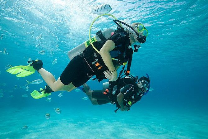 Discover Scuba Diving with two dives in the Ocean in Tenerife with Transfers - Key Highlights I’d Put First