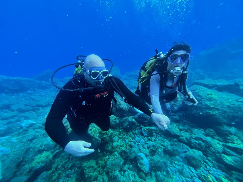 Diving course for beginners in turtle area Tenerife - Abades meets the Atlantic: your 3-hour beginner scuba plan