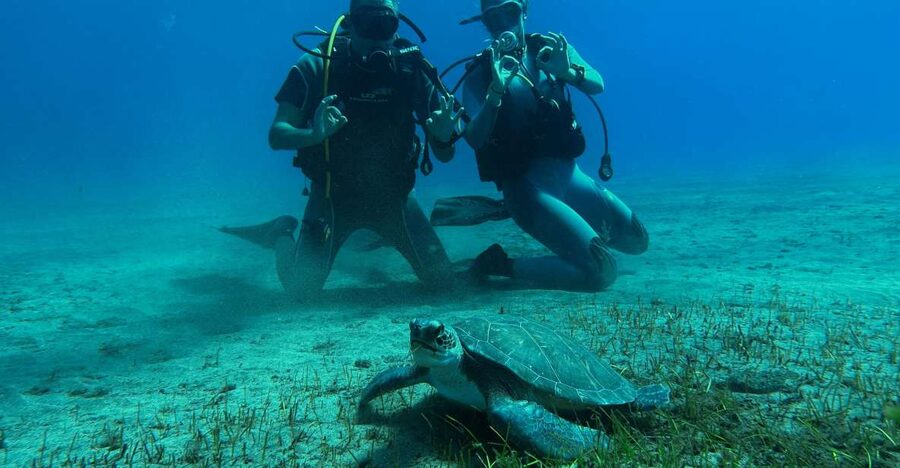 Diving course for beginners in turtle area Tenerife - The land lesson: breathing under water and safety, without fluff