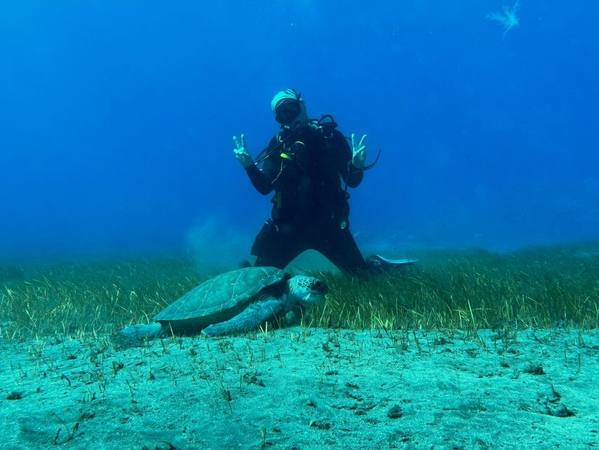 Diving course for beginners in turtle area Tenerife - Shallow-water practice in Abades: build confidence before you explore
