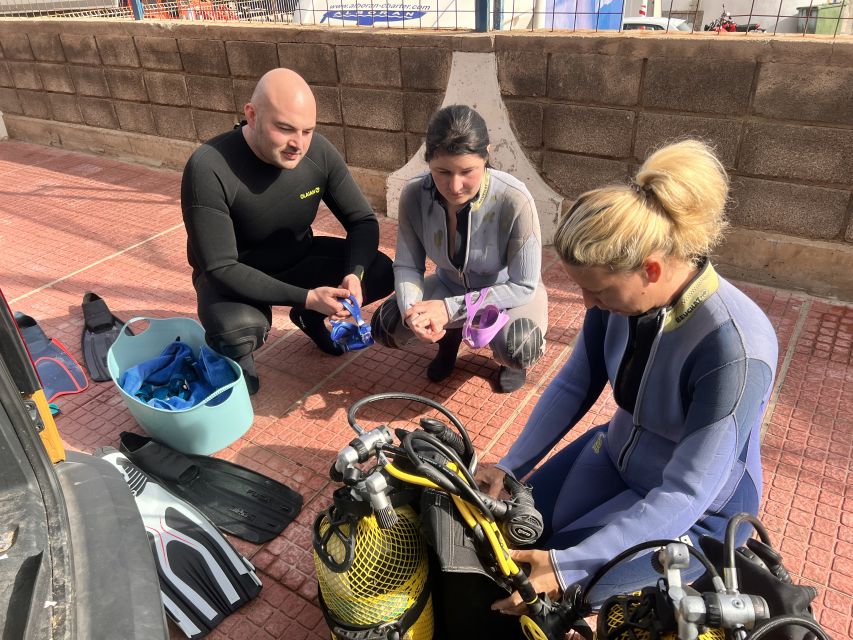 Diving course for beginners in turtle area Tenerife - Sea turtle territory: what you might see, and how to act