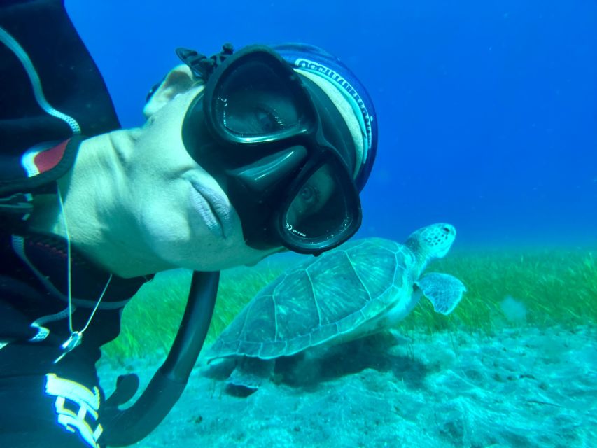 Diving course for beginners in turtle area Tenerife - Photos, video, and your certification card