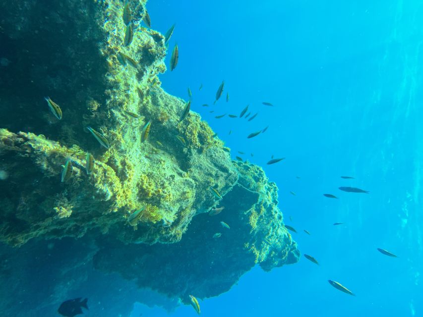Diving course for beginners in turtle area Tenerife - Instructor support in practice: why people feel taken care of