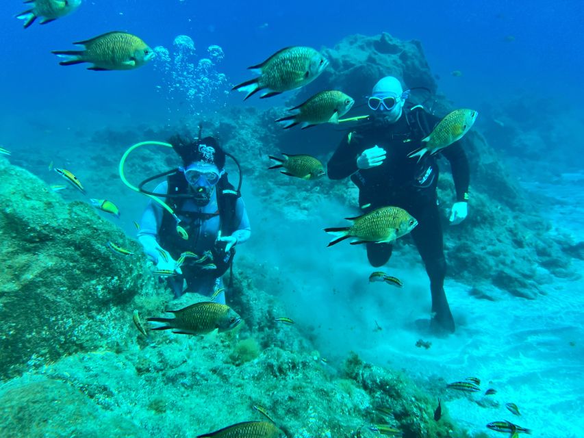 Diving course for beginners in turtle area Tenerife - Gear check: what you get, what to wear, what to expect