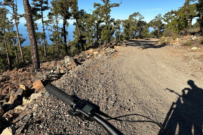 E-bike Ride at Chinyero Natural Reserve - on premium bikes - Price, value, and what makes it worth the $129.86