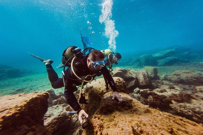 Eco Adapted Diving in Tenerife - Key Highlights You Should Know Before You Go
