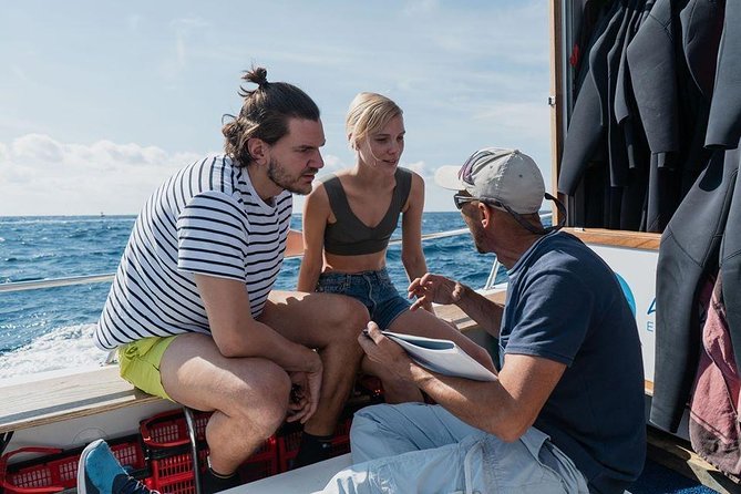 Eco Adapted Diving in Tenerife - Weather Rules, Timing, and Practical Planning