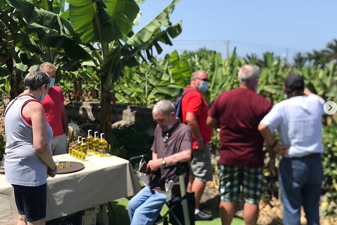 Eco banana farm Tour - Eco-farming lessons you can spot, not just hear