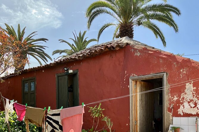 Eco banana farm Tour - Who is this tour best for, and who might not love it