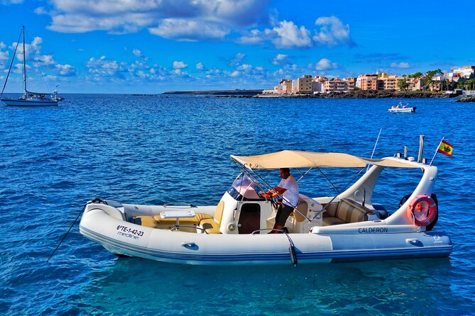 Eco Tour in the South of Tenerife with Snorkeling and Bathing Included - Key Highlights You Should Know
