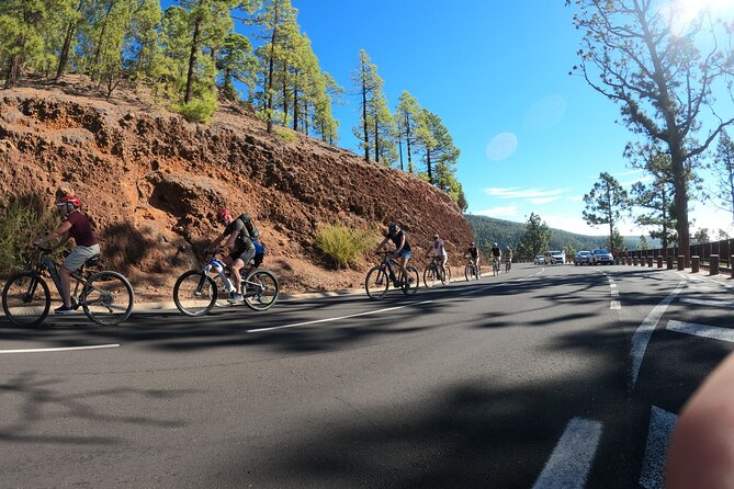 Electric Bike Teide Volcano Guided Tour - El Retamar viewpoints: using the stops for real photos