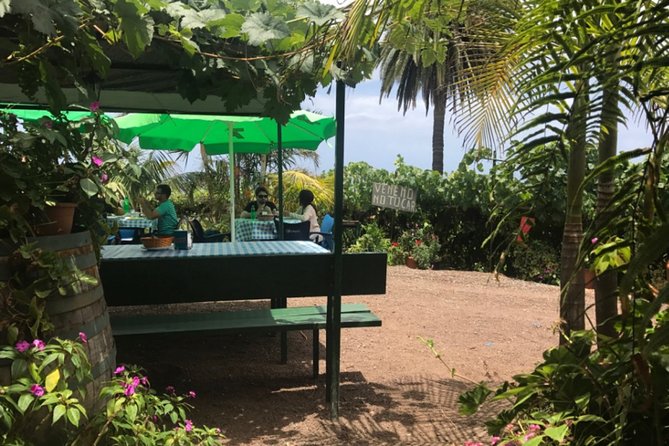 Enogastronomic Tour- 4 hours in Tenerife - Guide quality is the secret ingredient