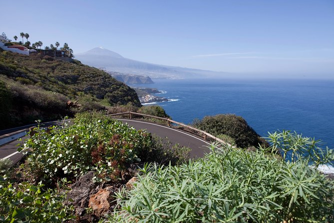 Enogastronomic Tour- 4 hours in Tenerife - How the 4 to 5 hour timing usually feels
