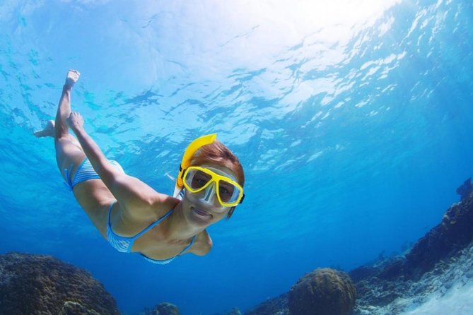 Exclusive Snorkeling Trip Guided by Marine Biology Specialist - Getting equipped: snorkeling gear and a guide-led routine