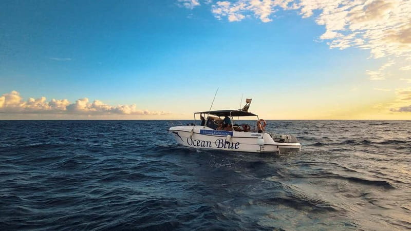 Excursion to see the whales - 3 Hours - From Lina Yacht to Puerto Colón: how this 3-hour outing really flows