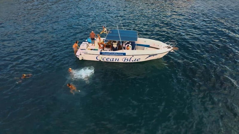 Excursion to see the whales - 3 Hours - What you might see: dolphins, sperm whales, and pilot whales