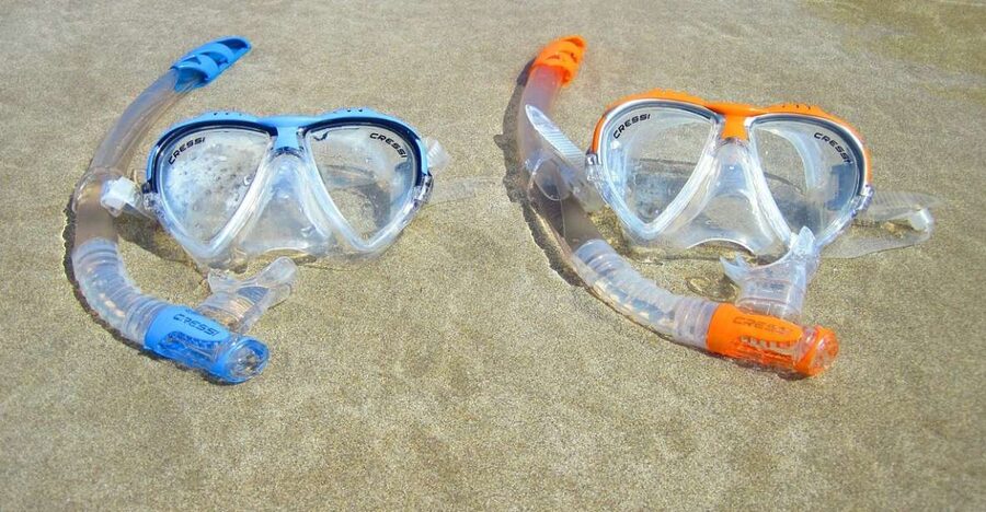 Explore Tenerife with the Snorkel Kit - Marine Life You Can Aim For: Fish, Mantas, and Turtle Spotting (With Rules)