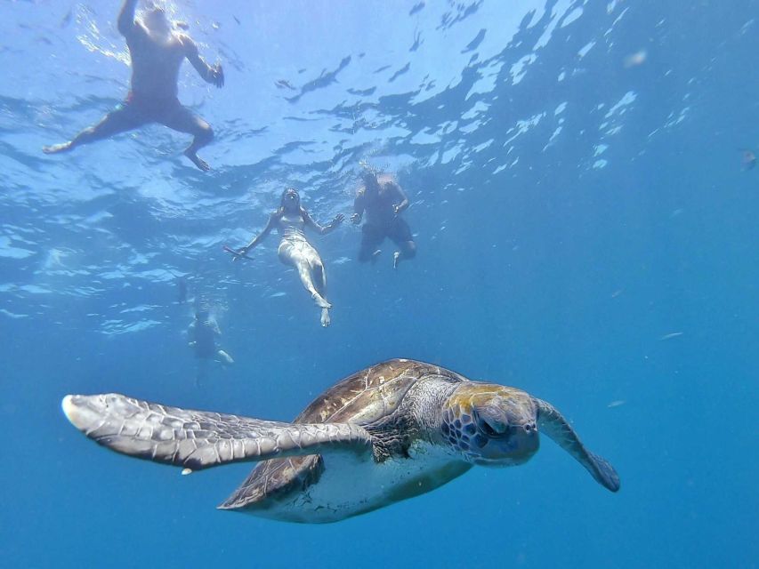 Explore Tenerife with the Snorkel Kit - What You Really Get: Snorkel Kit, Mask, and Tube
