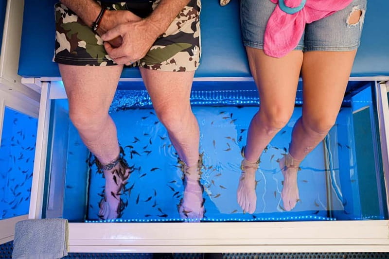 Fish Spa Experience - The 20-minute fish spa routine, step by step