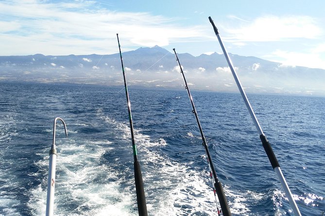 Fishing trip, Tenerife Sea Passion - Deep-sea fishing: multiple lines and electric reels