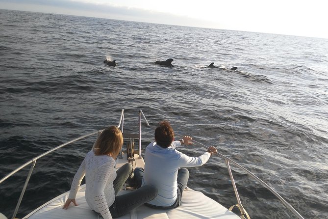 Fishing trip, Tenerife Sea Passion - Bottom fishing with jigging: a hands-on style