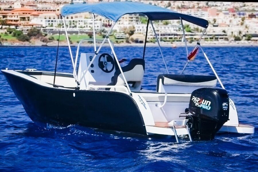 Flow into the ocean without license and discover Adeje - Key things to know before you go