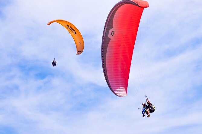 FlyTenerife Paragliding Flight - Key Points Before You Go