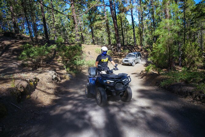 Forest & Off Road National Park Quad Biking Tour - Key Things to Know Before You Go