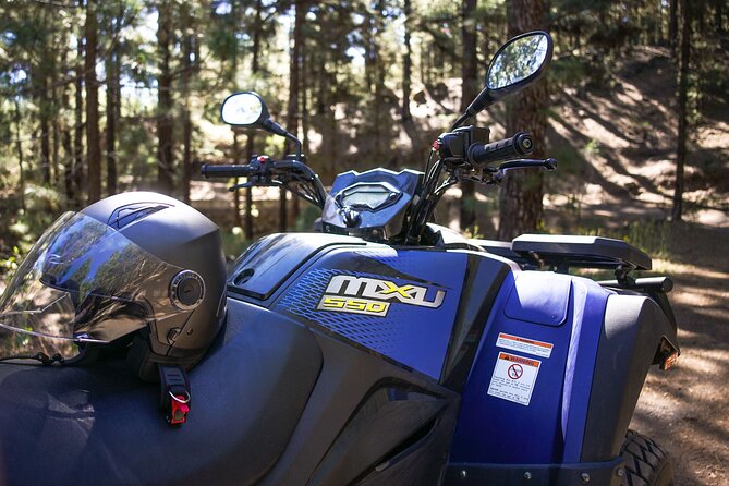 Forest & Off Road National Park Quad Biking Tour - Getting picked up and set up for Tenerife quad riding