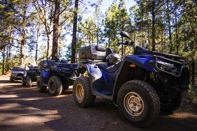 Forest & Off Road National Park Quad Biking Tour - Safety, helmets, and the 160kg quad limit