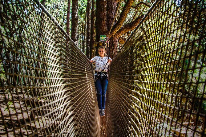 Forestal Park Tenerife Entrance Ticket - Views from the treetops: plan for adventure, not scenery photos