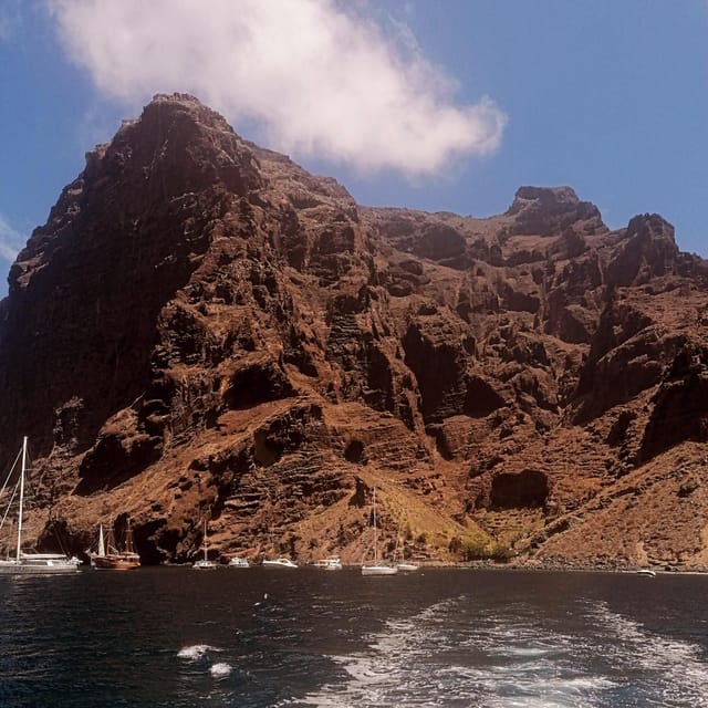 From Playa San Juan: Whale Watching, Gigantes, and Masca Bay - What to pack for a short whale watch, and what not to bring