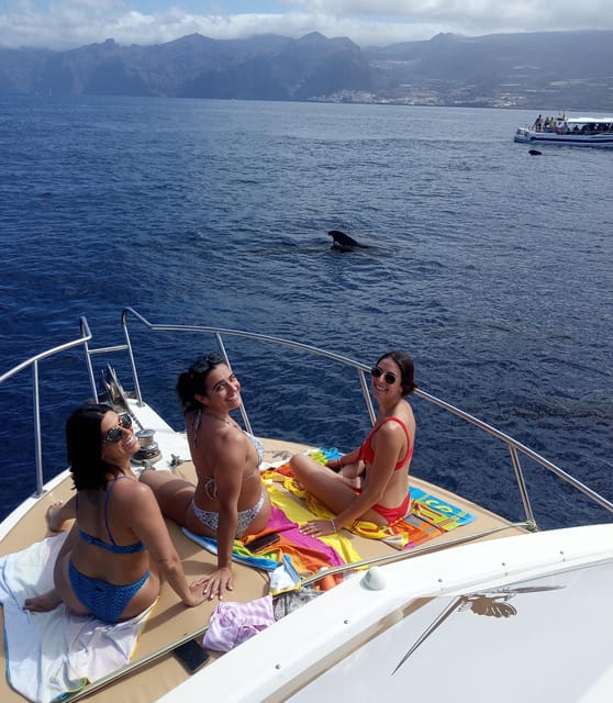 From Playa San Juan: Whale Watching, Gigantes, and Masca Bay - Price and value: does $94 make sense for what you get?