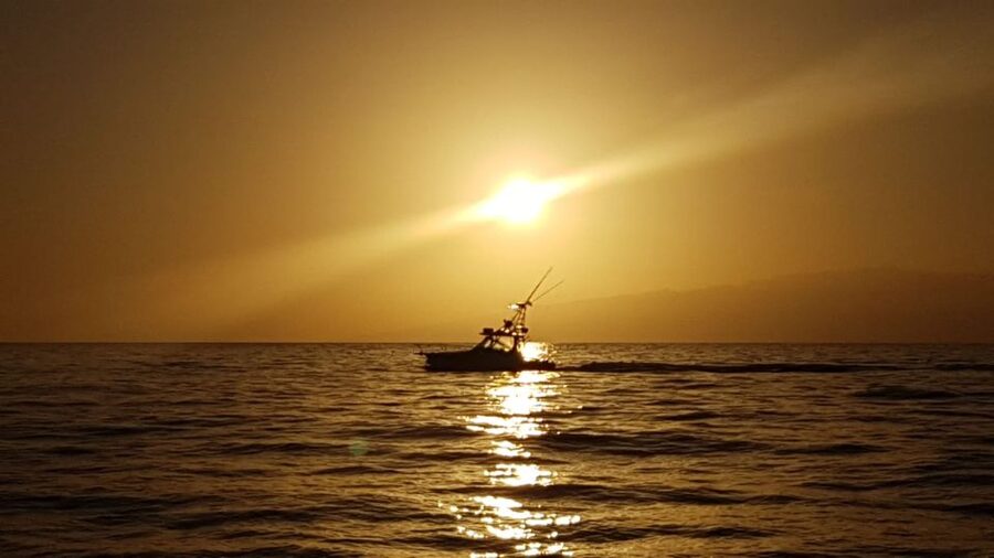 From Puerto Colón: Private Fishing Boat Charter with Lunch - 3 Hours of Light Tackle Fishing, or 7 Hours of Big-Game Time