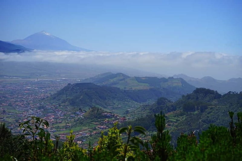 From Puerto de La Cruz: VIP Tour Around Anaga and La Laguna - Price and value: is $96 worth 8 hours?
