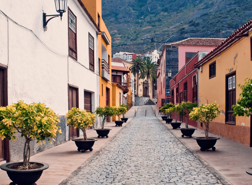 From Santa Cruz de Tenerife: Masca & Garachico Private Trip - Icod de los Vinos and the Drago Milenario