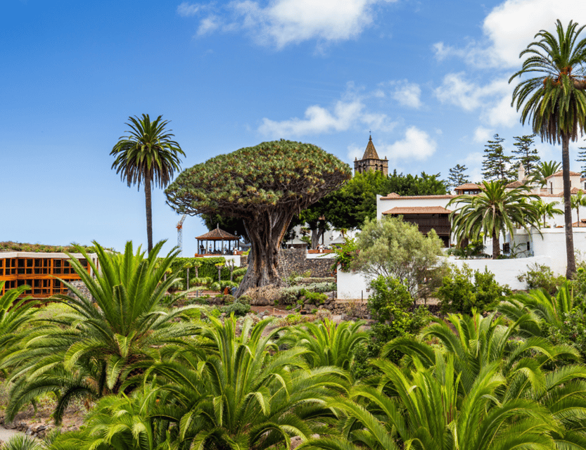 From Santa Cruz de Tenerife: Masca & Garachico Private Trip - The guide matters: from Belen to Carlotta to Joel