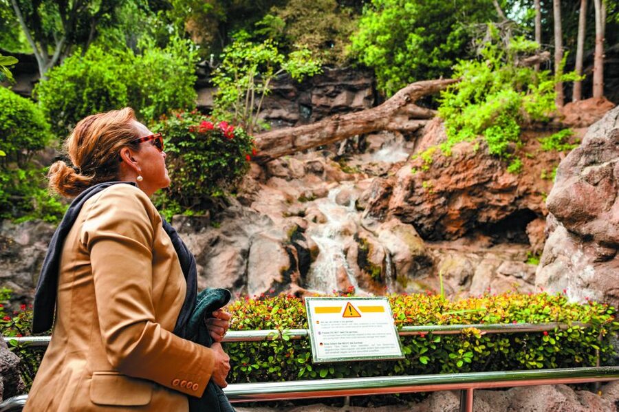 From South Tenerife: Loro Park Zoo Ticket & Hotel Transfers - Entering Planet Penguin and the Real-Iceberg Experience