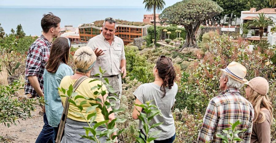 From South Tenerife: VIP Grand Tour Tenerife island - From Playa de Las Américas pickup to UNESCO Teide, fast
