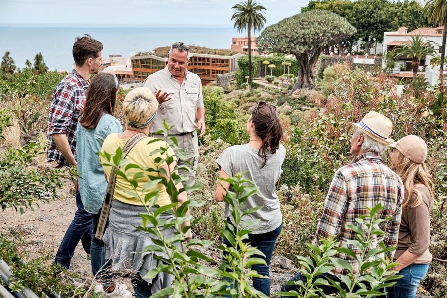 From South Tenerife: VIP Grand Tour Tenerife island - Masca and its hamlets: why this drive is a must