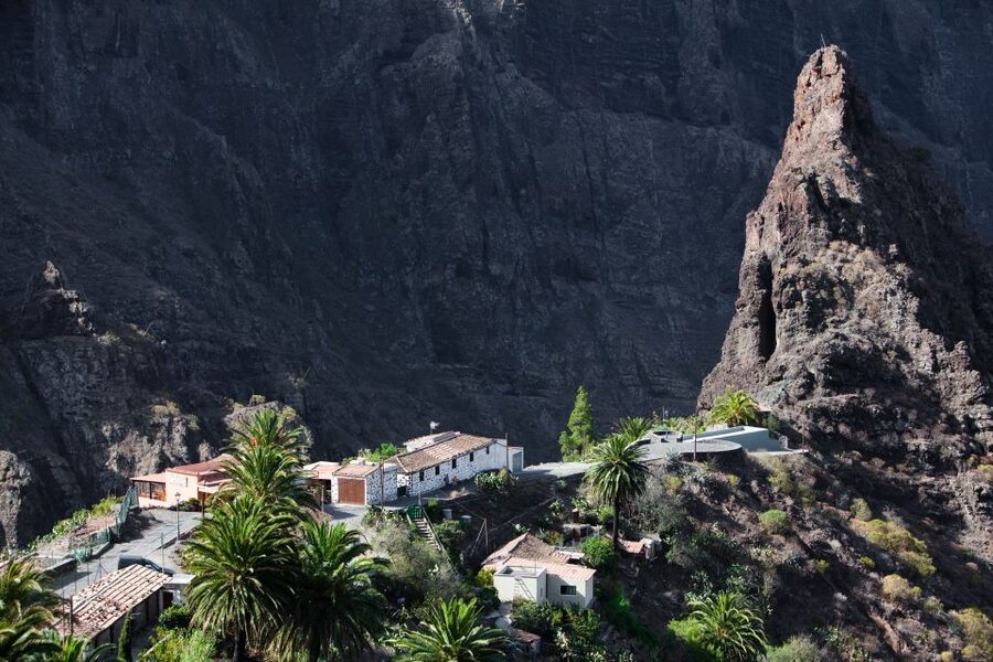 From South Tenerife: VIP Grand Tour Tenerife island - VIP minivan touring: comfortable, guided, and efficient