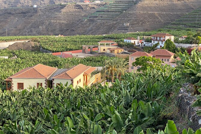 From Tenerife: Tajogaite Volcano, La Cumbrecita and Casco Antiguo - The guide makes the difference: how official commentary improves the whole day