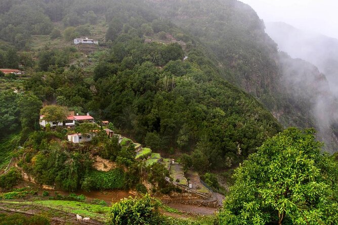 Full Day Guided Tour to La Gomera from Tenerife - A Real Taste of La Gomera in a Full-Day Route from Tenerife